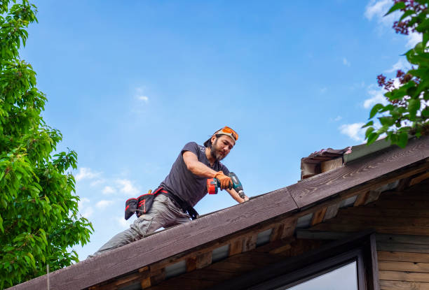 Best Roof Insulation Installation  in Hiawatha, KS